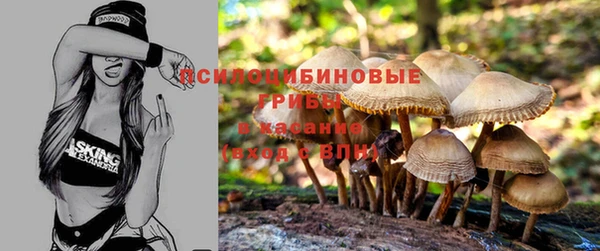 твердый Баксан